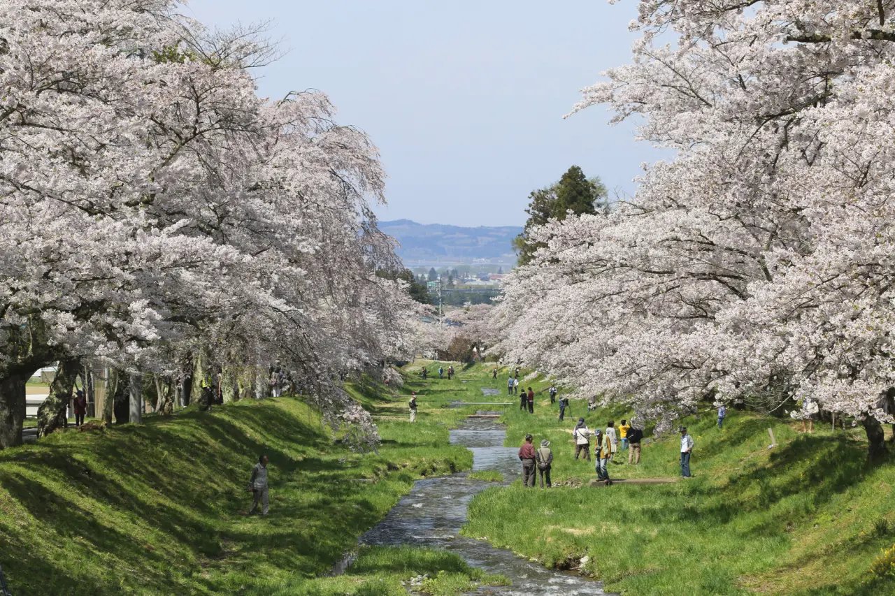 ⛩️ 석산 관음사(이시야마칸논지) 이미지 8